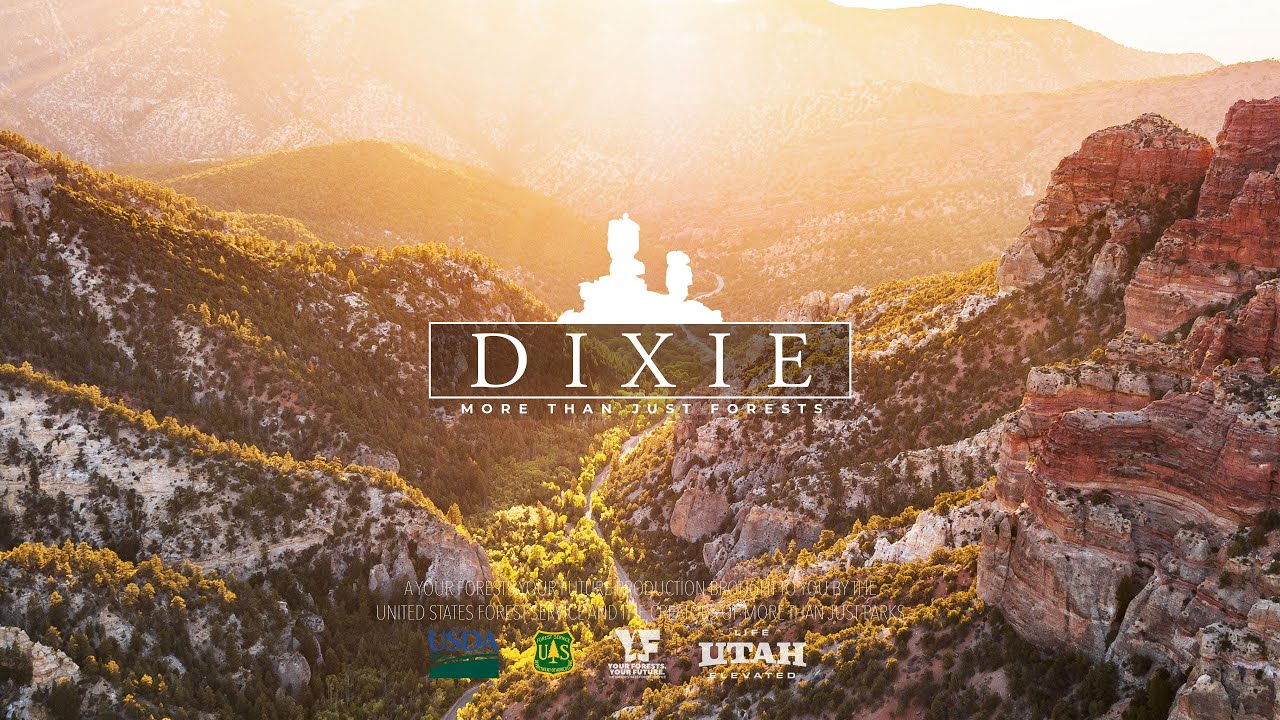 Dixie
