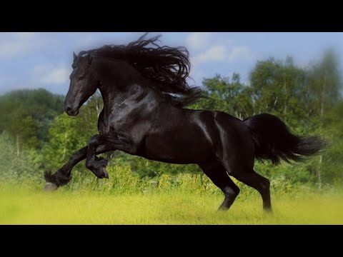 Валентина Вишневская - Шатрица. Ведьминское исполнение!