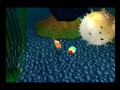 13 Finding Nemo Training With Gill