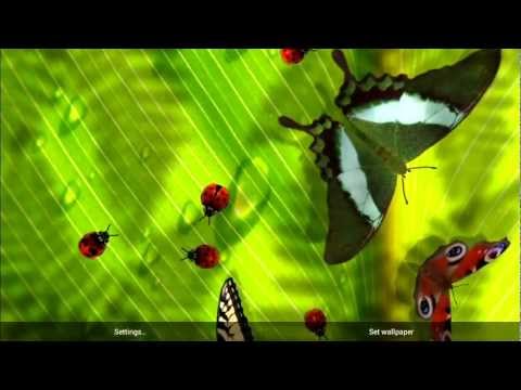 Friendly Bugs Live Wallpaper Video