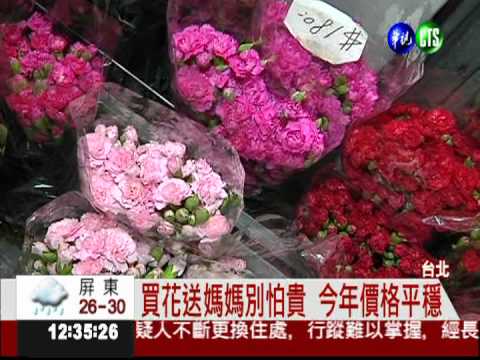 供應量充裕 今年康乃馨價格平穩