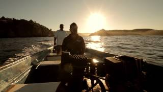 Трейлер превью