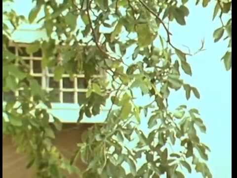 Похождение бравого солдата Швейка 7 серия(ФРГ-Австрия 1972)  Синиша Гогич