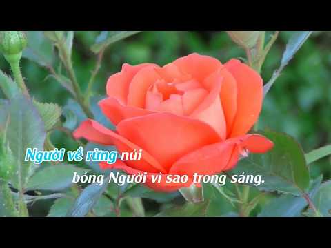 Tiếng hát giữa rừng Pắc Bó - Karaoke beat chuẩn/Karaoke Tây Bắc