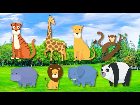 Wonderful List of Wild Animals Part 10