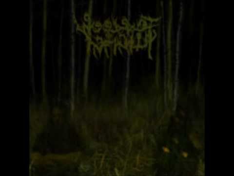 Woods of Infinity - Raping the Hexagram