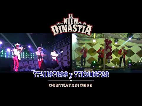 La Nueva Dinastía. Mi juventud a los 40.