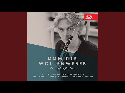 Quartet for Cor Anglais, Violin, Viola and Cello - Allegro giocoso