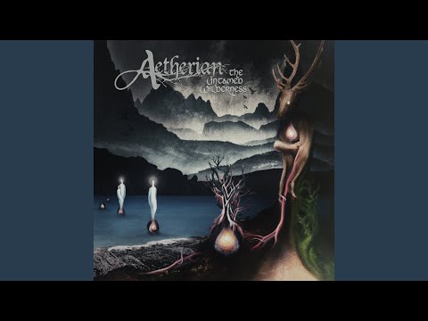 Wish of Autumn Twilight