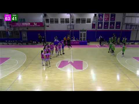 Triglav ŽKLS / Art Basket - Ras