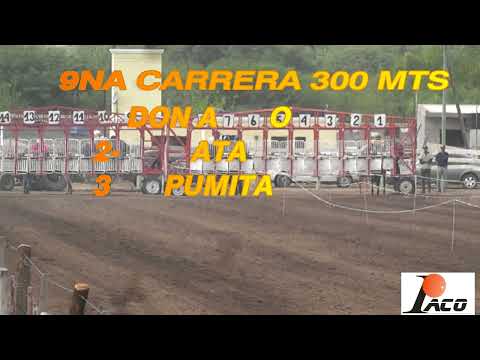 LA CATA HIPODROMO DON SOHAR CRUZ DEL EJE 08 05 2022