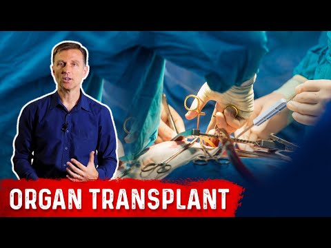 What are Enzymes and How do They Work Dr Berg