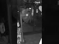 Deze dieven halen in 60 seconden een gi-gan-tische buit binnen bij een juwelier in Delden | RTV Oost