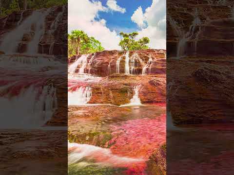 Rzeka pięciu kolorów - Kontynent cudów