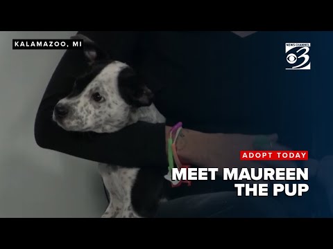ADOPT TODAY: Meet Maureen