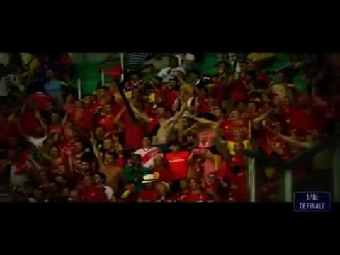 Diables Rouges, résumé de l'équipe nationale belge à la coupe du monde du Brésil 2014