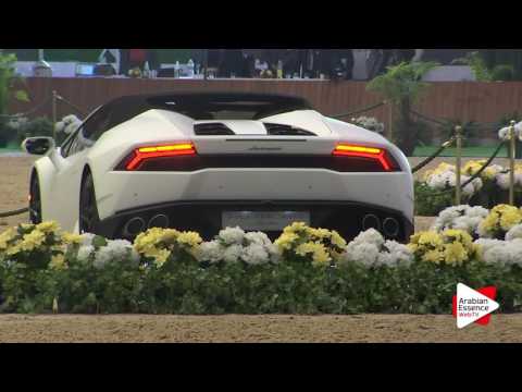 Milan SEWC 2016   Yearling Fillies Championship