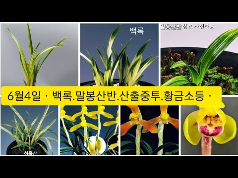 유튜브 썸네일