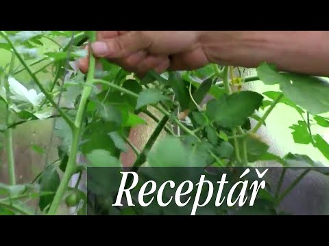Pestovanie paradajok – kompletný návod - Gazdova záhrada