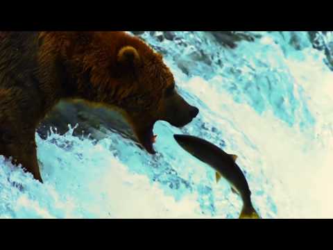 Moskal Squ - Stary Wyga (prod.@dtvnl Squ)