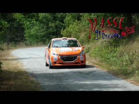 35° Rally Valli del Bormida 2016 - Pure Sound