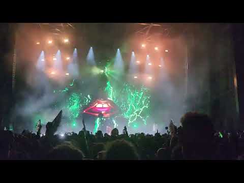 Grizmas in July 2023 Night 2