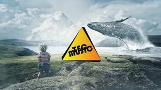 Celine Farach x Hoaprox - Tears III | Tec Music