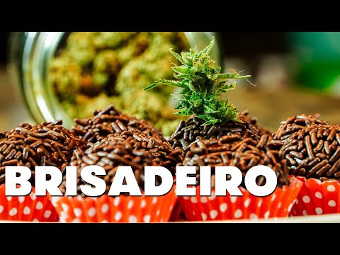 BRISADEIRO 🍁 | Chapados na Chapa (Aula Cortesia)