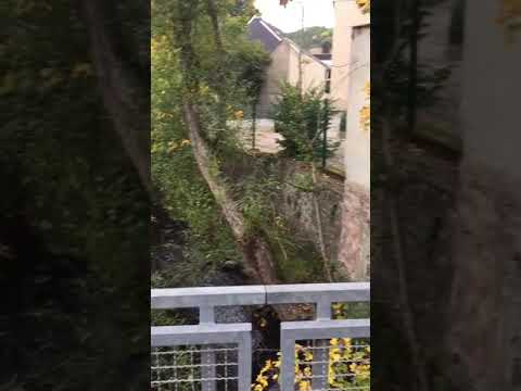 Stream of Gem Stones Intergem 2017