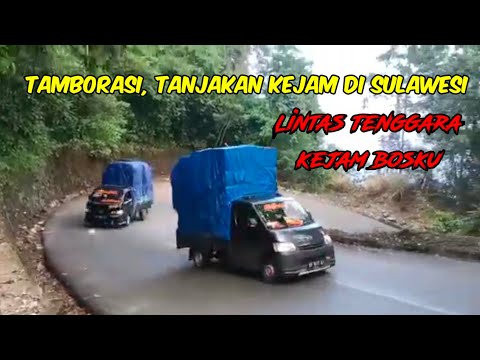 TAMBORASI TANJAKAN KEJAM DI SULAWESI
