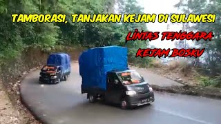 Download lagu TAMBORASI TANJAKAN KEJAM DI SULAWESI mp3