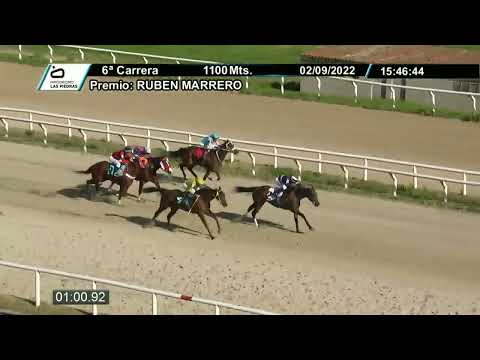 220902 c06 - SILHOUETTE (ARG) - HIPODROMO LAS PIEDRAS