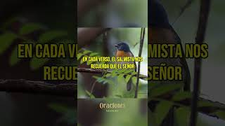 SALMO 68 | SEÑOR, TÚ ERES MI FUERZA Y MI VICTORIA #oraciondelamanana #oracionmatutina