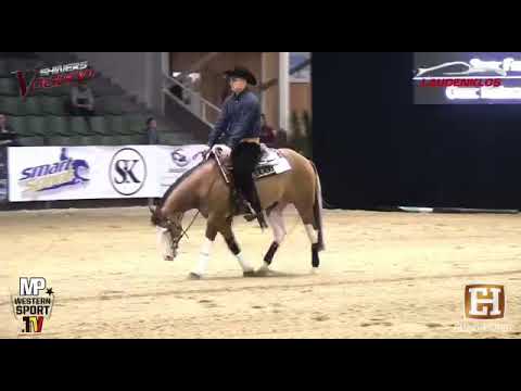 FROZEN SHINING GUN & ŁUKASZ CZECHOWICZ