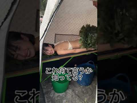 熱波: 照りつける太陽から庭を守るにはどうすればよいでしょうか?効果的なヒントを見つけてください。  庭園