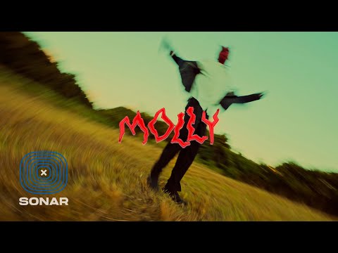 Lil JouJou - Molly (Visualizer) | Demon Time