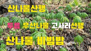 시골의 봄 산나물산행후 소박한 시골의 밥상 각종산나물채취 맛과향이 풍부한 비빔밥 먹었슈