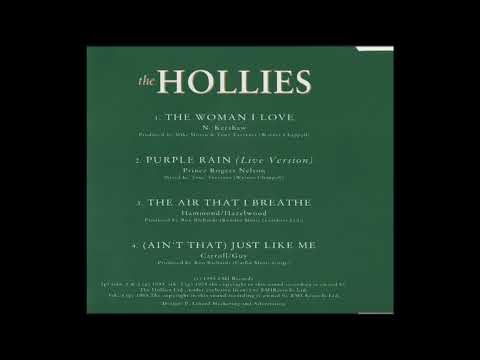 Videoclip de Man With No Expression (Horses Through a Rainstorm) (1998 Remaster) — The Hollies