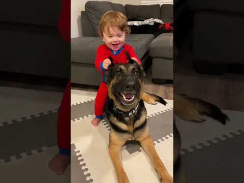 #pets #funnyanimals #funny