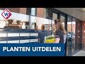 Restaurant kan jubileum niet vieren, dus deelt plantjes uit in Westland