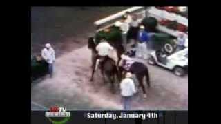 Xpressbet Gulfstream Report Rewind - January 5, 2014
