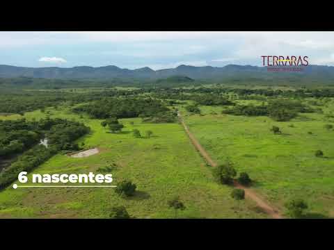 Fazenda à venda em Goiás- Teresina de Goiás/ GO