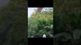 Quick Peek into Flamingo C&aacute;t B&agrave;'s Paradise! 🍹🏖️ #shorts #catbaisland #vietnam