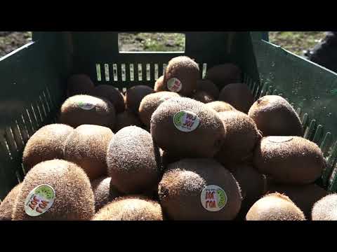 Agro karavan ep.217 - Temerin - 06.03.2022.