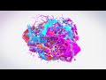 Colorfull Splash Intro Video