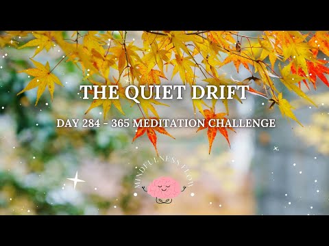 365 Days Meditation Challenge | Day 284 - The Quiet Drift🍂