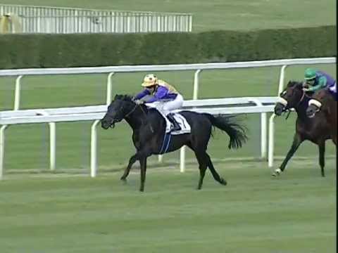 Premio Coppa d'Oro di Milano 2012 (LISTED RACE)