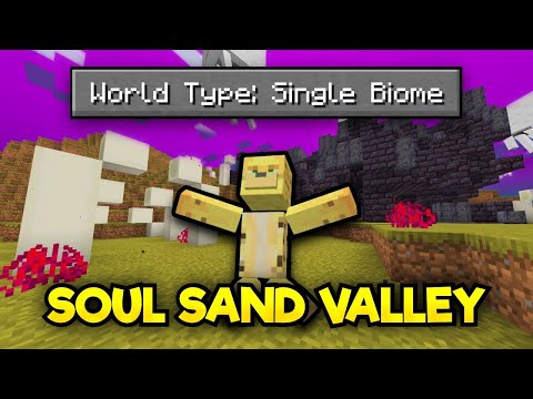 Can I Survive In A 100% Soul Sand Valley World?
