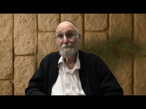 Parshat Tazria-Metzora with Reb Chaim Kramer