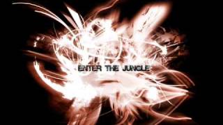 The First Mix2009 Jungle DnB DuB 2009